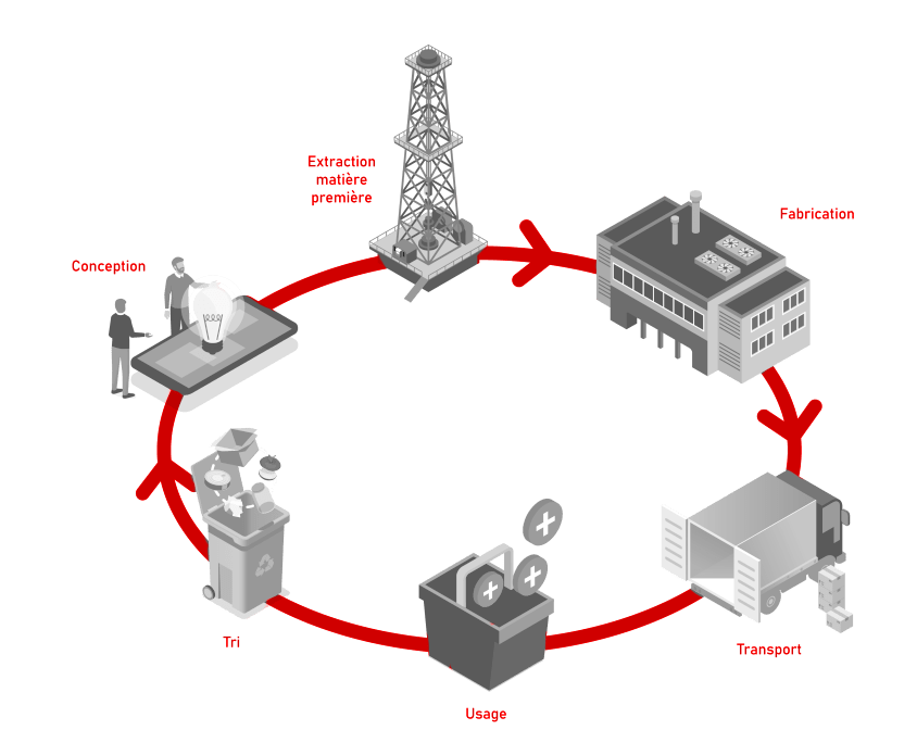 Life cycle